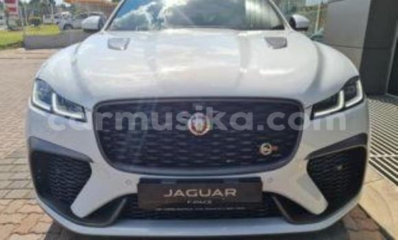 Buy Used Jaguar F-Type SVR White Car in Beitbridge in Matabeleland South Buy Used Jaguar F-Type SVR White Car in Beitbridge in Matabeleland South
