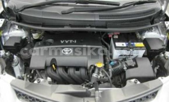 Buy Used Toyota IST Silver Car in Beitbridge in Matabeleland South Buy Used Toyota IST Silver Car in Beitbridge in Matabeleland South