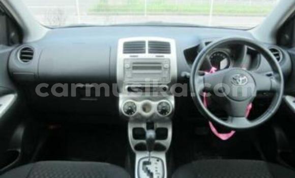 Buy Used Toyota IST Silver Car in Beitbridge in Matabeleland South Buy Used Toyota IST Silver Car in Beitbridge in Matabeleland South