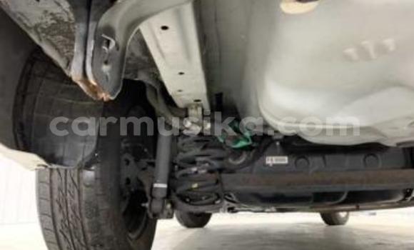 Tenga Tsaru Toyota Corolla Chena Mota in Beitbridge in Matabeleland South Tenga Tsaru Toyota Corolla Chena Mota in Beitbridge in Matabeleland South