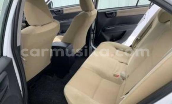 Tenga Tsaru Toyota Corolla Chena Mota in Beitbridge in Matabeleland South Tenga Tsaru Toyota Corolla Chena Mota in Beitbridge in Matabeleland South