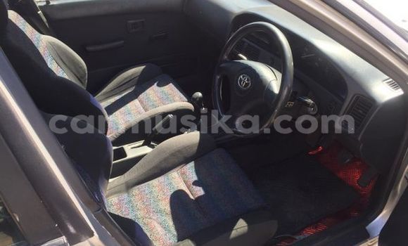 Tenga Tsaru Toyota Tacoma Sirivha Mota in Beitbridge in Matabeleland South Tenga Tsaru Toyota Tacoma Sirivha Mota in Beitbridge in Matabeleland South