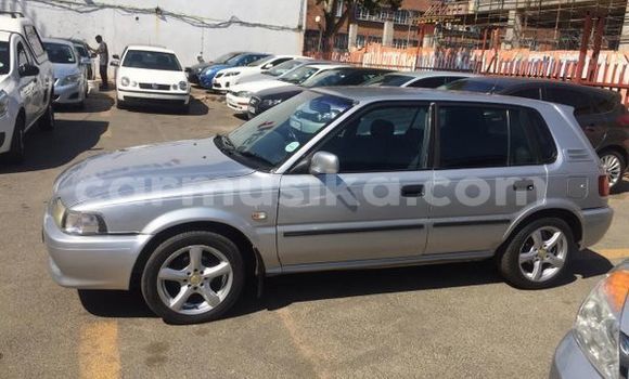 Tenga Tsaru Toyota Tacoma Sirivha Mota in Beitbridge in Matabeleland South Tenga Tsaru Toyota Tacoma Sirivha Mota in Beitbridge in Matabeleland South