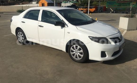 Tenga Tsaru Toyota Corolla Chena Mota in Beitbridge in Matabeleland South
