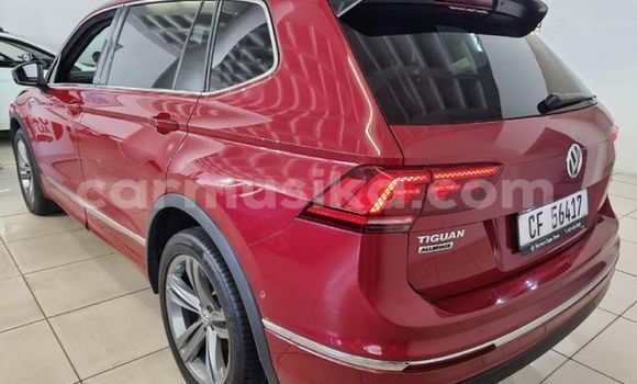 Buy Used Volkswagen Tiguan Red Car in Beitbridge in Matabeleland South Buy Used Volkswagen Tiguan Red Car in Beitbridge in Matabeleland South