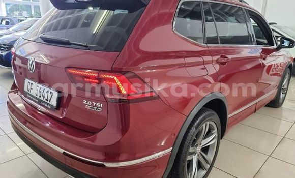 Buy Used Volkswagen Tiguan Red Car in Beitbridge in Matabeleland South Buy Used Volkswagen Tiguan Red Car in Beitbridge in Matabeleland South