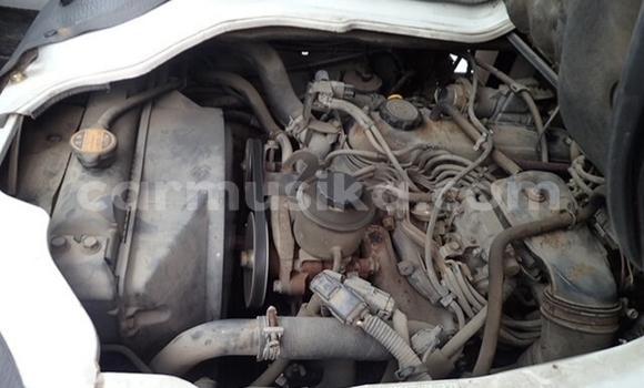 Buy Used Toyota Dyna White Truck in Beitbridge in Matabeleland South Buy Used Toyota Dyna White Truck in Beitbridge in Matabeleland South