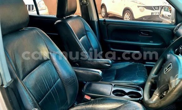 Nunua Ilio tumika Honda CR–V Fedha Gari ndani ya Beitbridge nchini Matabeleland Kusini Nunua Ilio tumika Honda CR–V Fedha Gari ndani ya Beitbridge nchini Matabeleland Kusini