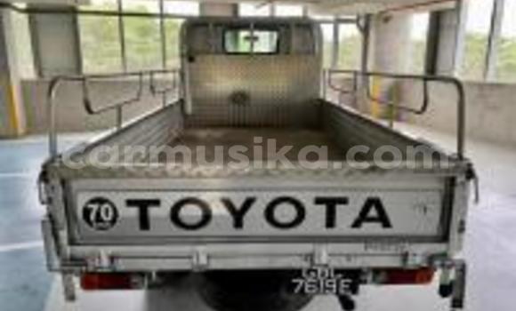 Buy Used Toyota Dyna Silver Truck in Beitbridge in Matabeleland South Buy Used Toyota Dyna Silver Truck in Beitbridge in Matabeleland South