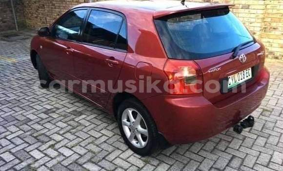 Tenga Tsaru Toyota Runx Tsvuku Mota in Beitbridge in Matabeleland South Tenga Tsaru Toyota Runx Tsvuku Mota in Beitbridge in Matabeleland South