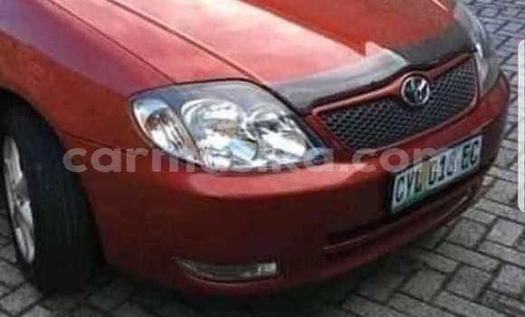 Tenga Tsaru Toyota Runx Tsvuku Mota in Beitbridge in Matabeleland South Tenga Tsaru Toyota Runx Tsvuku Mota in Beitbridge in Matabeleland South