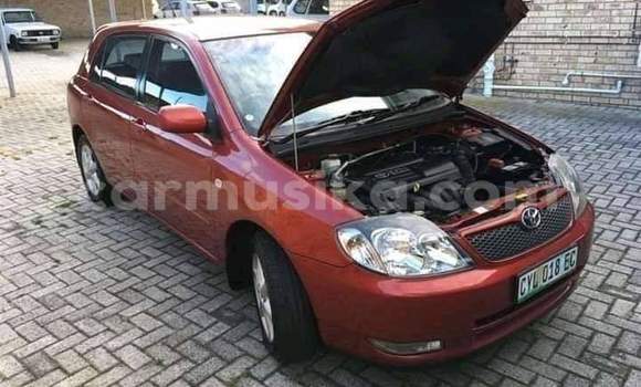 Tenga Tsaru Toyota Runx Tsvuku Mota in Beitbridge in Matabeleland South Tenga Tsaru Toyota Runx Tsvuku Mota in Beitbridge in Matabeleland South