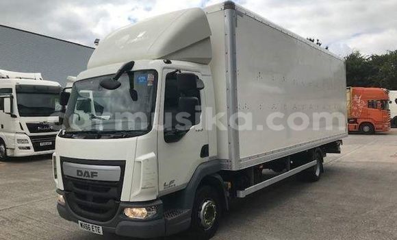 Acheter Occasion Utilitaire DAF CF Blanc à Beitbridge, Matabeleland South Acheter Occasion Utilitaire DAF CF Blanc à Beitbridge, Matabeleland South