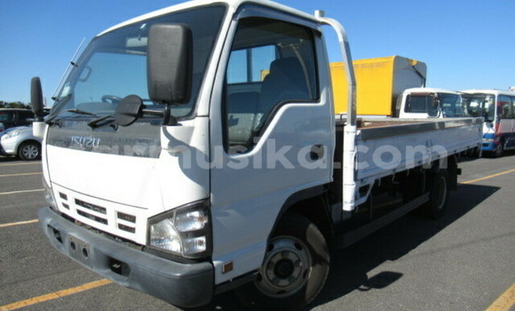 Nunua Ilio tumika Isuzu Elf Nyeupe Lori ndani ya Beitbridge nchini Matabeleland Kusini