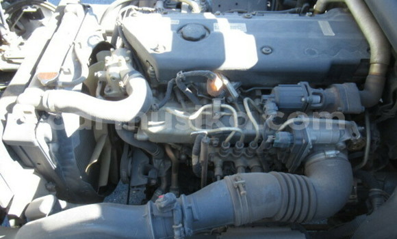 Buy Used Isuzu Elf White Truck in Beitbridge in Matabeleland South Buy Used Isuzu Elf White Truck in Beitbridge in Matabeleland South