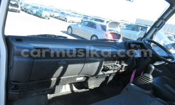 Buy Used Isuzu Elf White Truck in Beitbridge in Matabeleland South Buy Used Isuzu Elf White Truck in Beitbridge in Matabeleland South