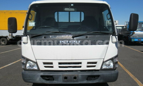 Buy Used Isuzu Elf White Truck in Beitbridge in Matabeleland South Buy Used Isuzu Elf White Truck in Beitbridge in Matabeleland South