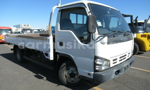 Buy Used Isuzu Elf White Truck in Beitbridge in Matabeleland South Buy Used Isuzu Elf White Truck in Beitbridge in Matabeleland South