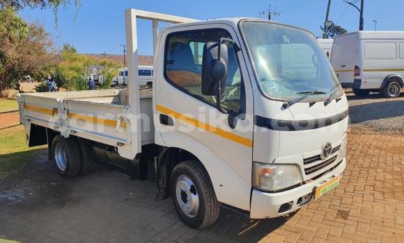 Buy Used Toyota Dyna Other Truck in Beitbridge in Matabeleland South