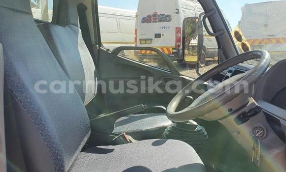 Tenga Tsaru Toyota Dyna Zvimwe Rori in Beitbridge in Matabeleland South Tenga Tsaru Toyota Dyna Zvimwe Rori in Beitbridge in Matabeleland South