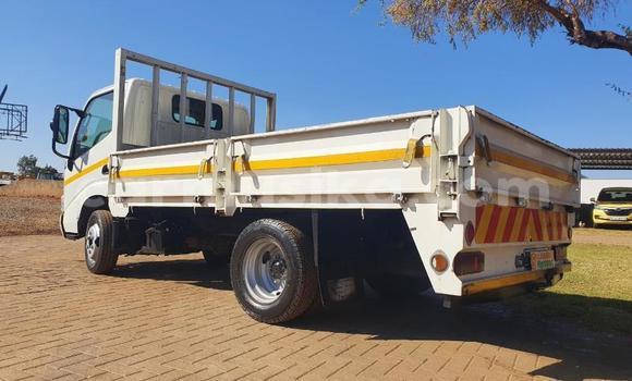 Tenga Tsaru Toyota Dyna Zvimwe Rori in Beitbridge in Matabeleland South Tenga Tsaru Toyota Dyna Zvimwe Rori in Beitbridge in Matabeleland South