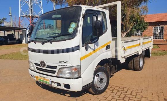 Tenga Tsaru Toyota Dyna Zvimwe Rori in Beitbridge in Matabeleland South Tenga Tsaru Toyota Dyna Zvimwe Rori in Beitbridge in Matabeleland South