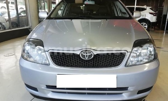 Acheter Occasion Voiture Toyota Runx Gris à Beitbridge, Matabeleland South