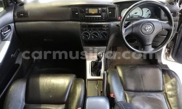 Acheter Occasion Voiture Toyota Runx Gris à Beitbridge, Matabeleland South Acheter Occasion Voiture Toyota Runx Gris à Beitbridge, Matabeleland South