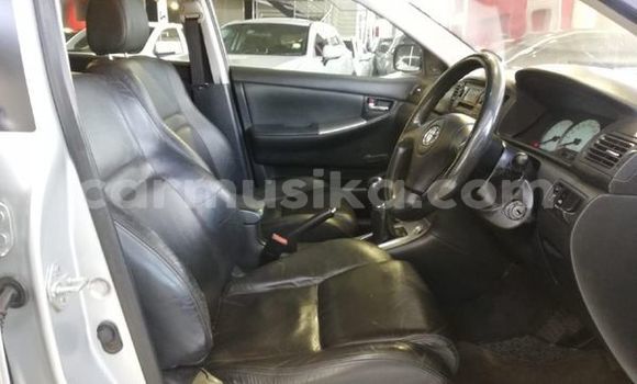 Acheter Occasion Voiture Toyota Runx Gris à Beitbridge, Matabeleland South Acheter Occasion Voiture Toyota Runx Gris à Beitbridge, Matabeleland South