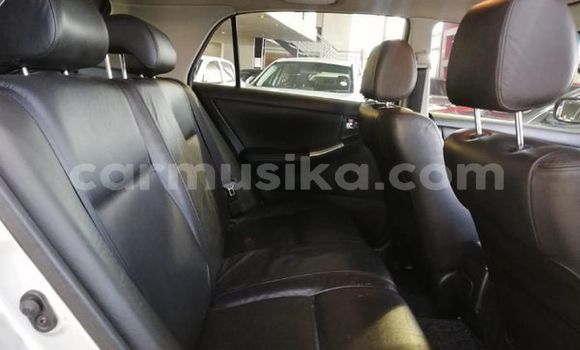 Acheter Occasion Voiture Toyota Runx Gris à Beitbridge, Matabeleland South Acheter Occasion Voiture Toyota Runx Gris à Beitbridge, Matabeleland South