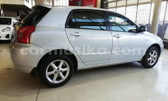 Acheter Occasion Voiture Toyota Runx Gris à Beitbridge, Matabeleland South Acheter Occasion Voiture Toyota Runx Gris à Beitbridge, Matabeleland South