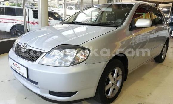 Acheter Occasion Voiture Toyota Runx Gris à Beitbridge, Matabeleland South Acheter Occasion Voiture Toyota Runx Gris à Beitbridge, Matabeleland South