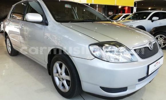 Acheter Occasion Voiture Toyota Runx Gris à Beitbridge, Matabeleland South Acheter Occasion Voiture Toyota Runx Gris à Beitbridge, Matabeleland South