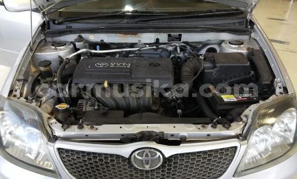 Acheter Occasion Voiture Toyota Runx Gris à Beitbridge, Matabeleland South Acheter Occasion Voiture Toyota Runx Gris à Beitbridge, Matabeleland South