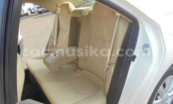 Acheter Occasion Voiture Toyota Mark X Blanc à Beitbridge, Matabeleland South Acheter Occasion Voiture Toyota Mark X Blanc à Beitbridge, Matabeleland South