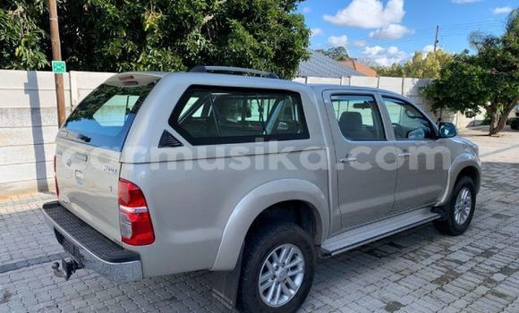 Acheter Occasion Voiture Toyota Hilux Marron à Beitbridge, Matabeleland South Acheter Occasion Voiture Toyota Hilux Marron à Beitbridge, Matabeleland South
