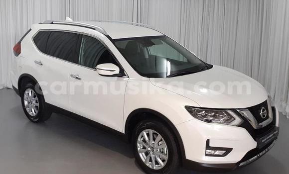 Buy Used Nissan X–Trail White Car in Beitbridge in Matabeleland South Buy Used Nissan X–Trail White Car in Beitbridge in Matabeleland South