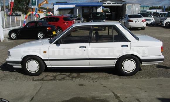 Nunua Ilio tumika Nissan Sentra Nyeupe Gari ndani ya Beitbridge nchini Matabeleland Kusini Nunua Ilio tumika Nissan Sentra Nyeupe Gari ndani ya Beitbridge nchini Matabeleland Kusini