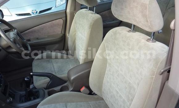 Buy Used Nissan Sunny White Car in Beitbridge in Matabeleland South Buy Used Nissan Sunny White Car in Beitbridge in Matabeleland South