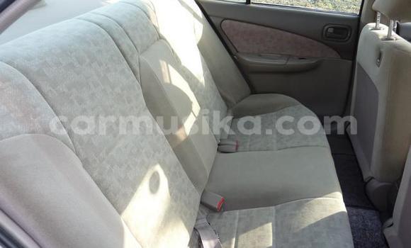 Buy Used Nissan Sunny White Car in Beitbridge in Matabeleland South Buy Used Nissan Sunny White Car in Beitbridge in Matabeleland South