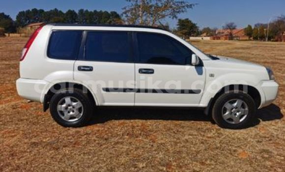 Buy Used Nissan X–Trail White Car in Beitbridge in Matabeleland South Buy Used Nissan X–Trail White Car in Beitbridge in Matabeleland South