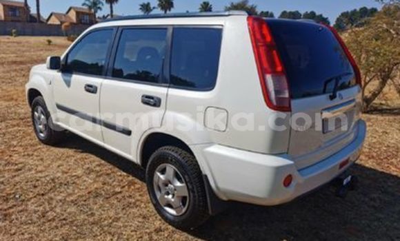 Buy Used Nissan X–Trail White Car in Beitbridge in Matabeleland South Buy Used Nissan X–Trail White Car in Beitbridge in Matabeleland South