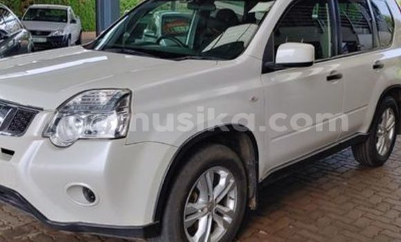 Buy Used Nissan X–Trail Other Car in Beitbridge in Matabeleland South