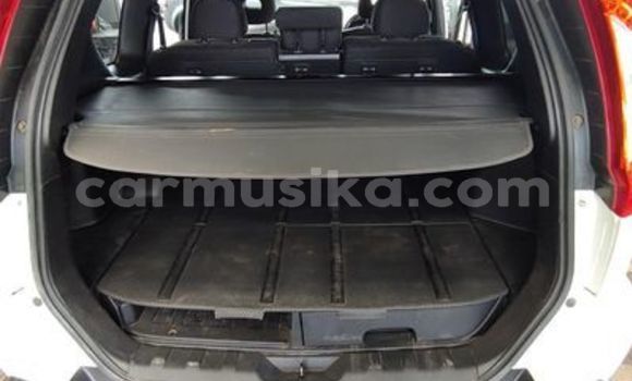 Buy Used Nissan X–Trail Other Car in Beitbridge in Matabeleland South Buy Used Nissan X–Trail Other Car in Beitbridge in Matabeleland South