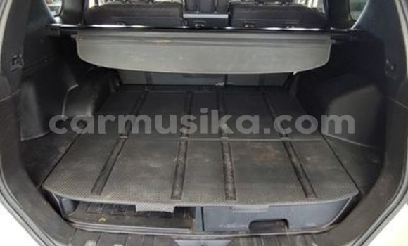 Buy Used Nissan X–Trail Other Car in Beitbridge in Matabeleland South Buy Used Nissan X–Trail Other Car in Beitbridge in Matabeleland South