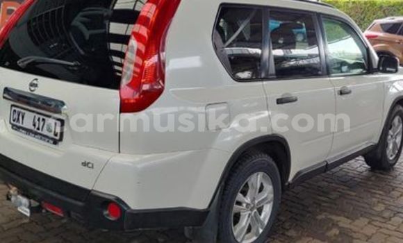 Buy Used Nissan X–Trail Other Car in Beitbridge in Matabeleland South Buy Used Nissan X–Trail Other Car in Beitbridge in Matabeleland South