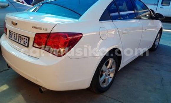 Buy Used Chevrolet Cruze White Car in Beitbridge in Matabeleland South Buy Used Chevrolet Cruze White Car in Beitbridge in Matabeleland South