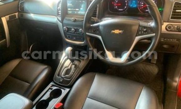 Buy Used Chevrolet Captiva Red Car in Beitbridge in Matabeleland South Buy Used Chevrolet Captiva Red Car in Beitbridge in Matabeleland South