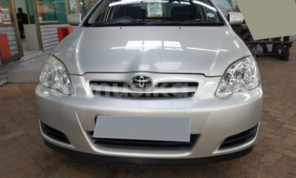 Buy Used Toyota Runx Silver Car in Harare in Harare Buy Used Toyota Runx Silver Car in Harare in Harare