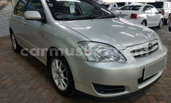 Buy Used Toyota Runx Silver Car in Harare in Harare Buy Used Toyota Runx Silver Car in Harare in Harare